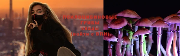 героин Алексин